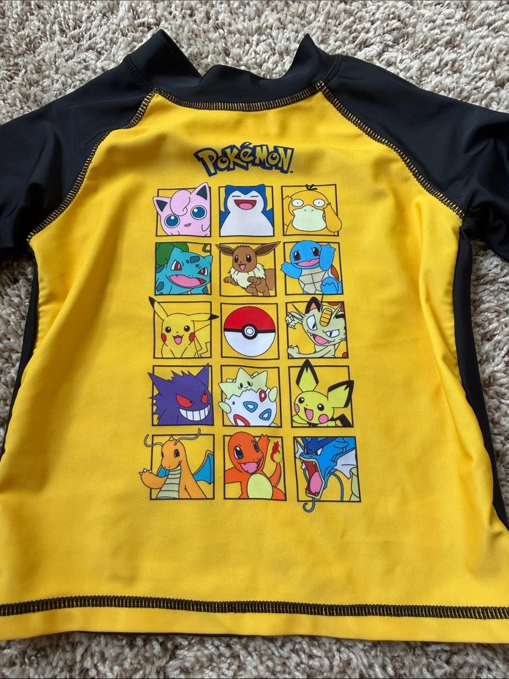Pokemon pokémon black